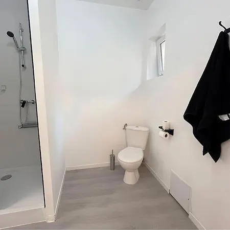 T3 A1 60M2 Cosy Proche Gare 7 Min A Pieds Appartement Roanne Buitenkant foto
